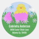 Search for duck chicks stickers Egg