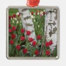 Search for valley ornaments Tulip