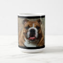 Search for english bulldog puppy mugs Canine