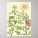 Recherche de chrysanthème posters Victorien