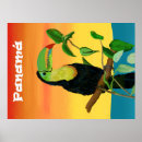 Recherche de oiseaux tropicaux posters Coloré