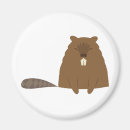 Search for beavers magnets Animal