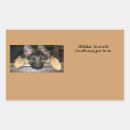 Search for teachers pet stickers Animal