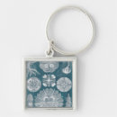 Search for jellyfish keychains Coastal