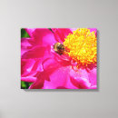 Search for bumble bee canvas prints Bees