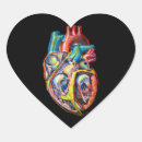 Search for human body organs Physiology