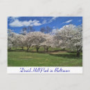 Recherche de druides cartes postales Baltimore