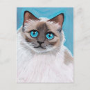 Search for ragdoll postcards Blue