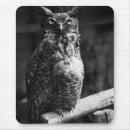 Recherche de hibou cornes tapis souris Hiboux
