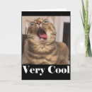 Search for cat meme cards Popular