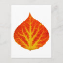 Recherche de rouge jaune cartes postales Automne