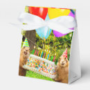 Search for cake box favour boxes Birthday
