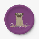 Search for pug plates Illustration