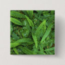 Search for floor buttons Usa