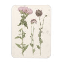 Search for bloomed magnets Florals
