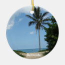 Search for beach path Vacation