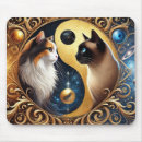 Recherche de galaxie chat tapis souris Cosmique