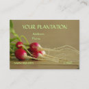 Recherche de radis cartes visite Jardin