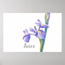 Search for purple iris art posters Blue