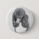 Search for poodles buttons Puppy