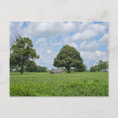 Search for thoroughbred invitations Kentucky