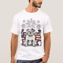 Search for fireworks tshirts Usa