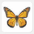 Search for monarch butterfly stickers Orange