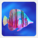 Search for swimming fish stickers Underwater