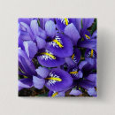 Search for irises buttons Floral