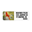 Search for male return address labels Red