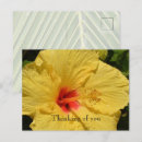 Search for hibiscus flower postcards Kauai