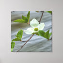 Recherche de pacifique impressions sur toile Blanc