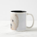 Search for white snow mugs Nature