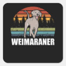 Search for weimaraner stickers Dog