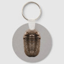 Search for fossils keychains Trilobite