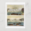 Recherche de gravure cartes postales 19e