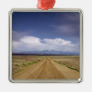 Search for crossing ornaments Nature