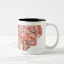 Search for sides of brain mugs Horizontal
