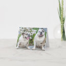 Search for dog mum cards Friend
