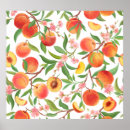 Search for vintage peach illustration posters Floral