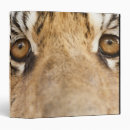 Search for wild one binders Looking at camera