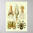 Search for vintage nautical posters Antique