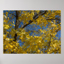 Search for yellow leafs posters Landscape