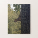 Recherche de écureuil puzzles Nature
