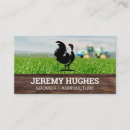 Recherche de coq cartes visite Marché des agriculteurs