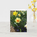 Search for springtime photography Garden