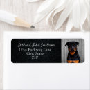 Search for rottweiler return address labels Cute