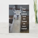 Search for funny llama birthday cards Humour