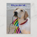 Recherche de animaux humoristiques invitations Animal