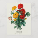 Recherche de ranunculus posters Bouquet